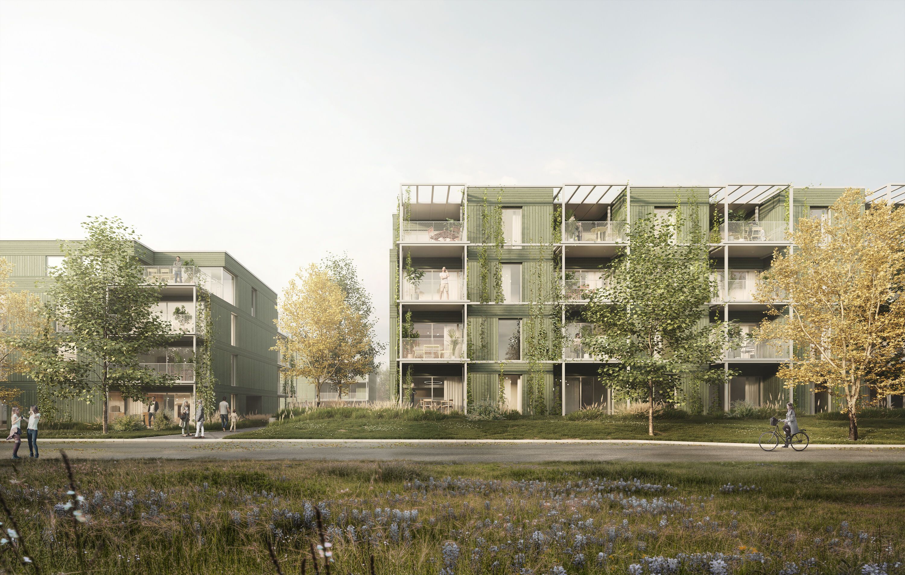 1. Platz: Wettbewerb "Wohnbebauung Tannenwäldle"